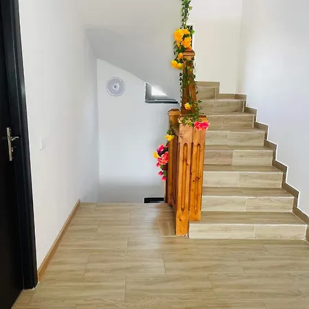 Sephora 招待所 3*